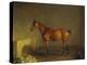 A Portrait of 'Marshall' a Bay Racehorse, in a Stall-Edward Troye-Premier Image Canvas