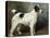 A Portrait of Nettle, a Terrier-John Emms-Premier Image Canvas