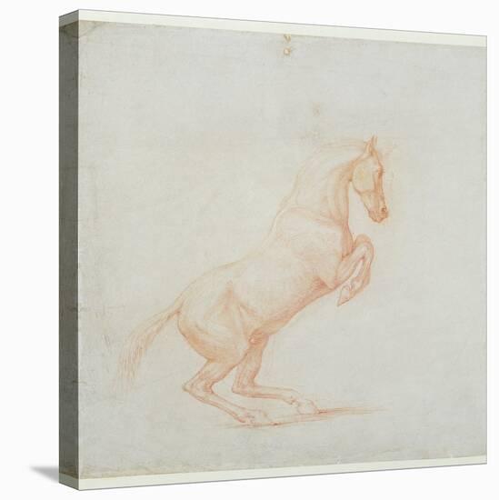 A Prancing Horse, Facing Right, 1790 (Red Chalk on Paper)-George Stubbs-Premier Image Canvas