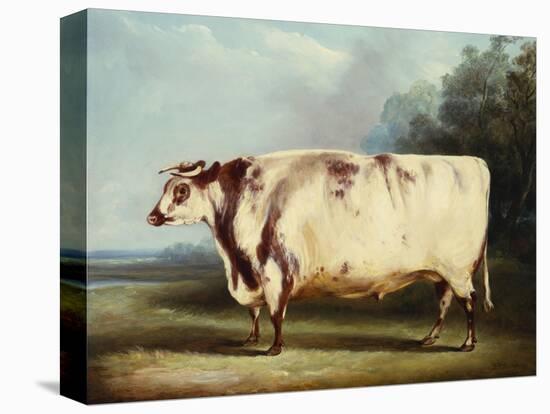 A Prize Bull-William Henry Davis-Premier Image Canvas