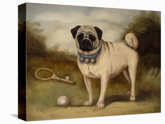 A Pug in Court-Porter Design-Premier Image Canvas