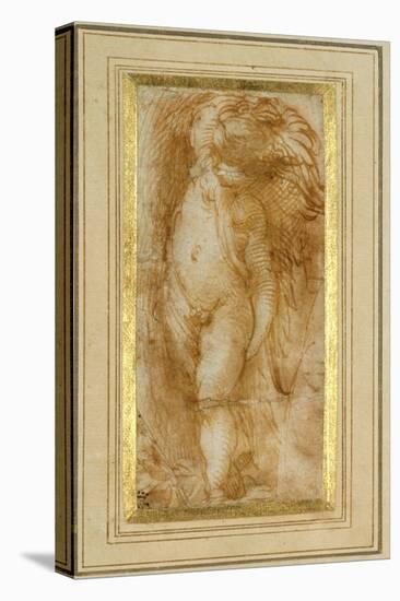 A Putto Turned to the Left-Parmigianino-Premier Image Canvas