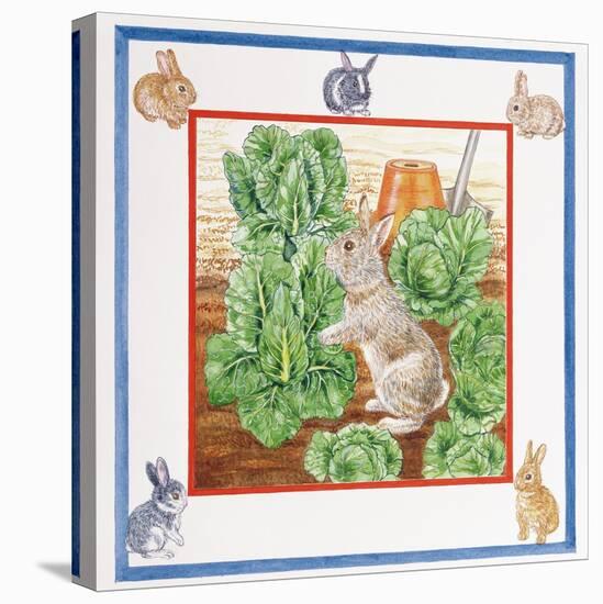 A Rabbit in the Cabbage Patch-Catherine Bradbury-Premier Image Canvas