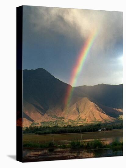 A Rainbow Reaches for the Banks of Kashmir's Dal Lake-null-Premier Image Canvas