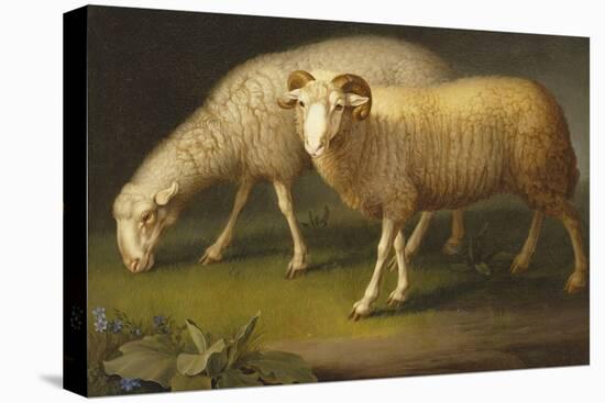 A Ram and a Sheep-Johan Wenzel Peter-Premier Image Canvas