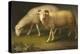 A Ram and a Sheep-Johan Wenzel Peter-Premier Image Canvas