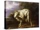 A Ram in a Wooded Landscape-Jan Baptist Weenix-Premier Image Canvas