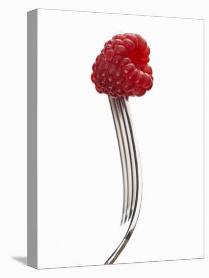 A Raspberry on a Fork-Marc O^ Finley-Premier Image Canvas