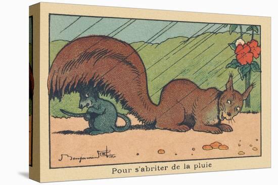 A Rat Takes Shelter under the Tail of a Squirrel.” for Shelter from the Rain” ,1936 (Illustration)-Benjamin Rabier-Premier Image Canvas