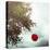 A Red Balloon Hanging on a Tree-Joana Kruse-Premier Image Canvas