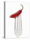 A Red Chilli on a Fork-Greg Elms-Premier Image Canvas