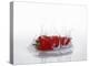 A Red Chilli Pepper Falling into Water-Kröger & Gross-Premier Image Canvas