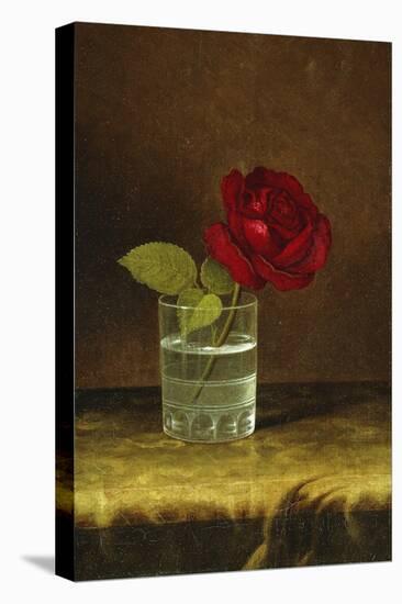 A Red Rose-Martin Johnson Heade-Premier Image Canvas