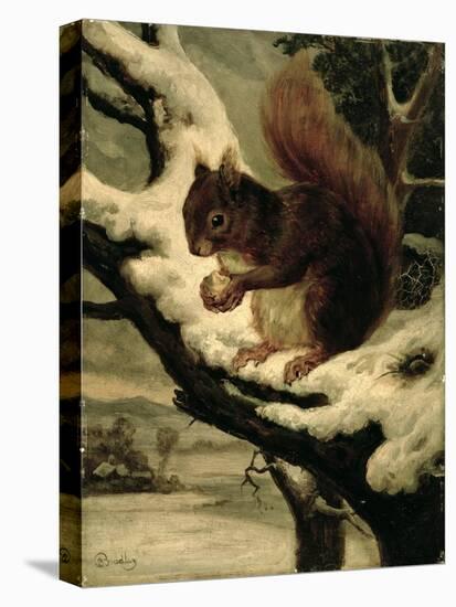 A Red Squirrel Eating a Nut-Basil Bradley-Premier Image Canvas