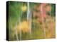 A Reflection of a Panned Motion Blur of Autumn Woodland.-Julianne Eggers-Premier Image Canvas