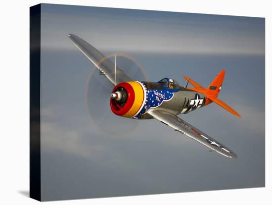 A Republic P-47D Thunderbolt in Flight-Stocktrek Images-Premier Image Canvas