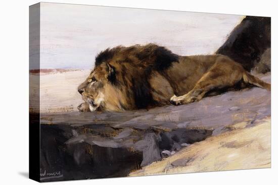 A Resting Lion-Wilhelm Kuhnert-Premier Image Canvas