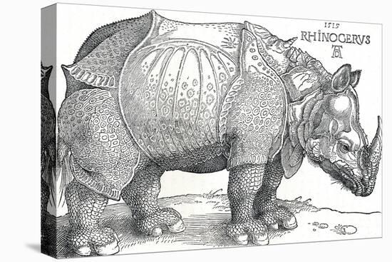 'A Rhinoceros', 1515, (1906)-Albrecht Durer-Premier Image Canvas