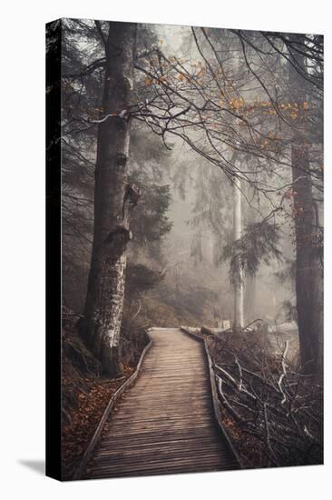 A Ride in the Woods-Philippe Sainte-Laudy-Premier Image Canvas