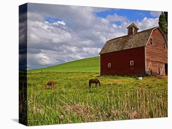 A Ride Through the Farm Country of Palouse, Washington State, USA-Joe Restuccia III-Premier Image Canvas