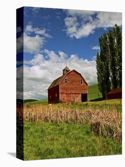 A Ride Through the Farm Country of Palouse, Washington State, USA-Joe Restuccia III-Premier Image Canvas
