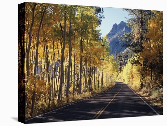 A Road Through the Autumn Colors of Aspen Trees in the June Lake Loop-Christopher Talbot Frank-Premier Image Canvas