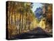 A Road Through the Autumn Colors of Aspen Trees in the June Lake Loop-Christopher Talbot Frank-Premier Image Canvas