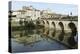 A Roman Bridge, Built in the Reign of the Emperor Tiberius, Spans the River Vidourle at Sommieres-Stuart Forster-Premier Image Canvas