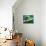 A Rope from a Boat-Katrin Adam-Premier Image Canvas displayed on a wall