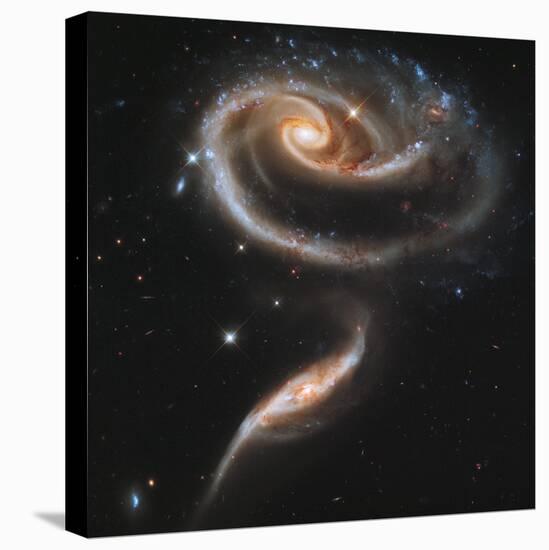 A "Rose" Made of Galaxies Highlights Hubble's 21st Anniversary-null-Premier Image Canvas