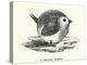 A round robin (engraving)-English School-Premier Image Canvas