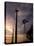 A Row of Wind Turbines-Charlie Riedel-Premier Image Canvas