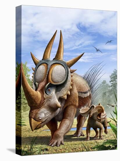 A Rubeosaurus and His Offspring-Stocktrek Images-Stretched Canvas