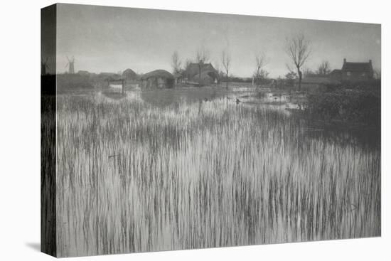 A Rushy Shore, 1886 (Platinum Print)-Peter Henry Emerson-Premier Image Canvas