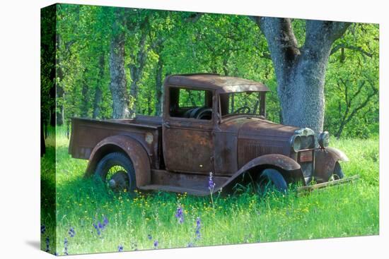A Rusting 1931 Ford Pickup Truck Sitting in a Field under an Oak Tree-John Alves-Premier Image Canvas
