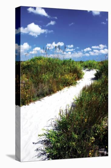 A Sandy Pathway II-Alan Hausenflock-Premier Image Canvas