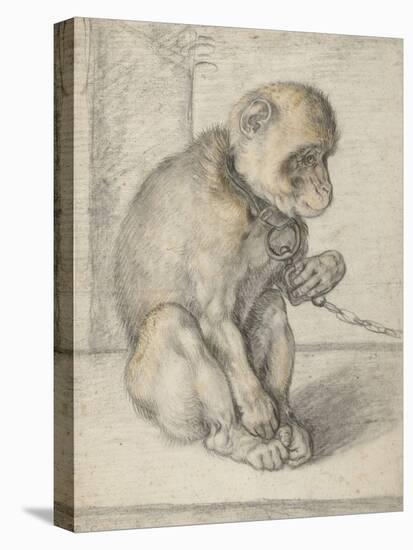 A Seated Monkey on a Chain, 1592-1602-Hendrik Goltzius-Premier Image Canvas