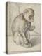 A Seated Monkey on a Chain, 1592-1602-Hendrik Goltzius-Premier Image Canvas