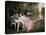 A Secret Liaison-Joseph Frederic Soulacroix-Premier Image Canvas