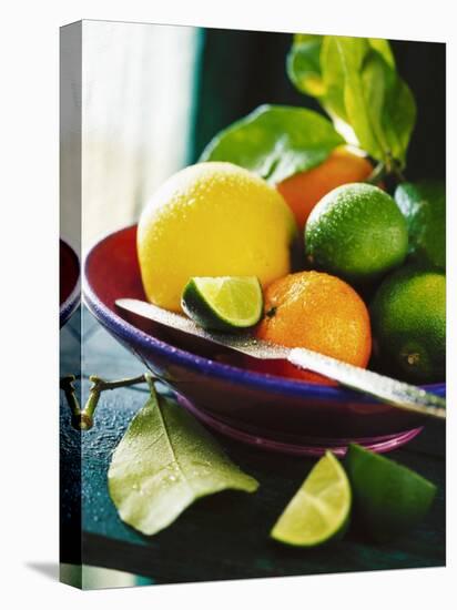 A Selection of Citrus Fruits in a Bowl-null-Premier Image Canvas