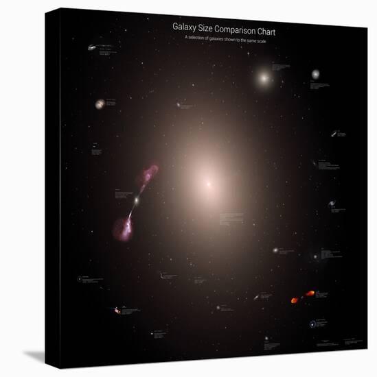 A Selection of Galaxies Shown to the Same Scale-null-Premier Image Canvas