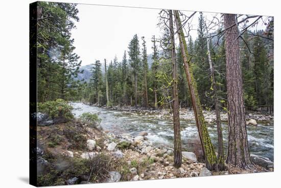 A Shallow River In Kings Canyon National Park, California-Michael Hanson-Stretched Canvas
