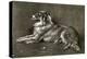 A Sheep Dog, 1901-Walter Hunt-Premier Image Canvas