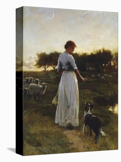 A Shepherdess with her Dog and Flock in a Moonlit Meadow-George Faulkener Wetherbee-Premier Image Canvas