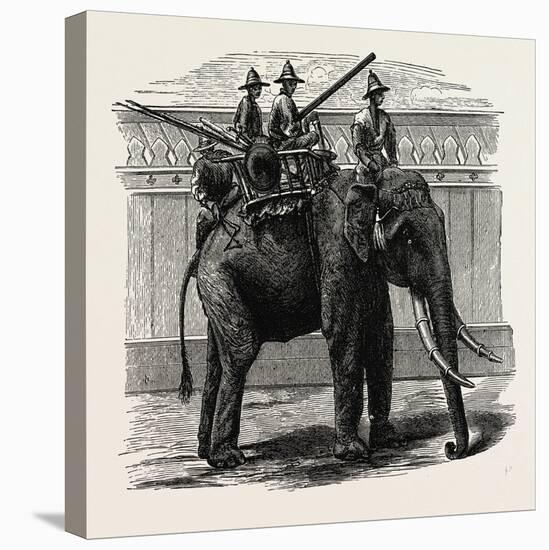 A Siamese War Elephant-null-Premier Image Canvas