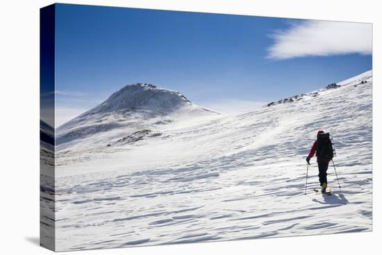 A Skier Travels Near Ptarmigan Pass in the Vail Pass Winter Recreation Area, Colorado-Sergio Ballivian-Premier Image Canvas