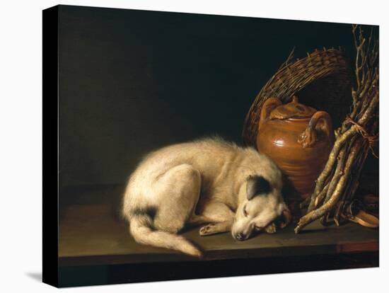 A Sleeping Dog with Terracotta Pot, 1650-Gerrit or Gerard Dou-Premier Image Canvas