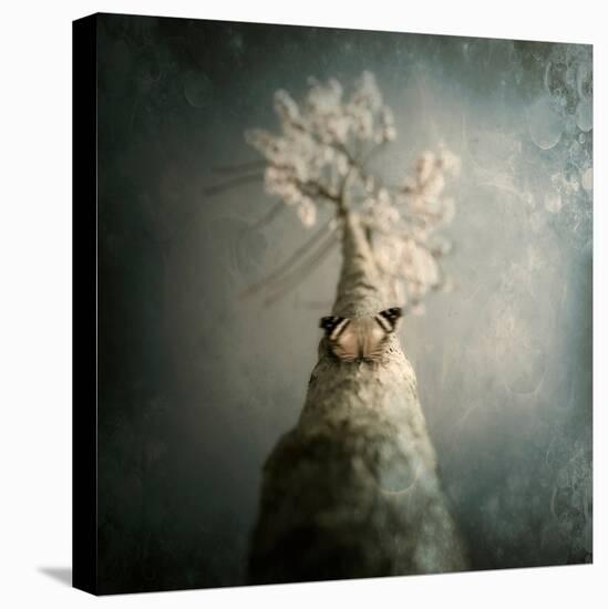 A Small Butterfly Sitting on a Tree with Overlaid Textures-Luis Beltran-Premier Image Canvas