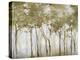 A Small Forest-Danna Harvey-Premier Image Canvas