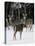 A Small Herd of White-Tailed Deer Wait at the Edge of the Woods-null-Premier Image Canvas